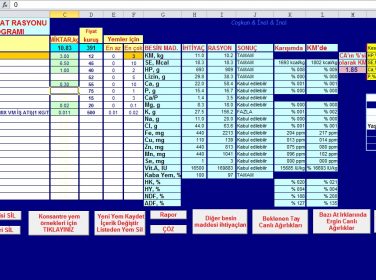 Atlar İçin Rasyon Programı