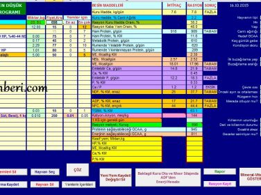Süt Sığırı Rasyon Programı
