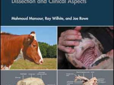 Ruminant Anatomi Rehberi: Disseksiyon ve Klinik Yönleri