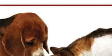 Evde Hazırlanmış Köpek ve Kedi Diyetleri