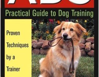 Köpek Eğitimi ABC PRAG