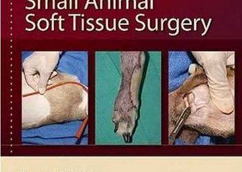 Küçük Hayvan Yumuşak Doku Cerrahi