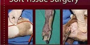 Küçük Hayvan Yumuşak Doku Cerrahi
