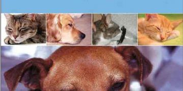 Veteriner Hemşireler İçin Anestezi Rehberi