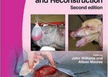 Kedi ve Köpekte Yara İyileştirme Yöntemleri