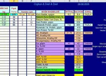 Besi Rasyon Hazırlama Programı