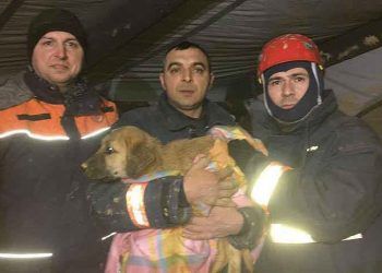 Kuyuya düşen köpek yavrusu 11 gün sonra kurtarıldı