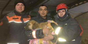 Kuyuya düşen köpek yavrusu 11 gün sonra kurtarıldı