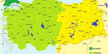 Şap Hastalığı Ile Mücadelede Yeni Dönem