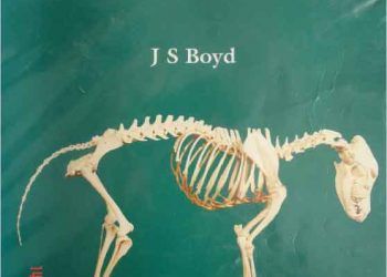 Köpek ve Kedi Klinik Anatomi Renkli Atlası