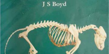 Köpek ve Kedi Klinik Anatomi Renkli Atlası