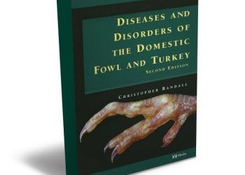 Tavukların Türkiye Hastalıkları ve Bozuklukları