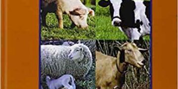 Çiftlik Hayvanların Cerrahisi