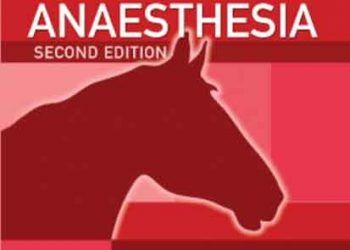 Atların Anestezi El Kitabı