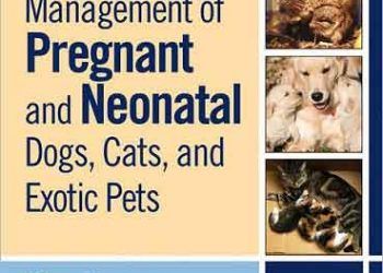 Hamile ve Yenidoğan Köpek, Kedi ve Egzotik Hayvanların Yönetimi