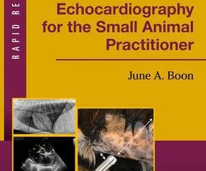 Küçük Hayvan Uygulayıcıları için İki Boyutlu ve M-Modlu Ekokardiyografi