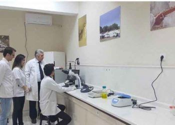 Vet-Arı Laboratuvarı