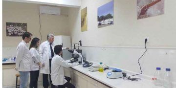 Vet-Arı Laboratuvarı