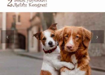 2.Sokak Hayvanları Refahı Kongresi
