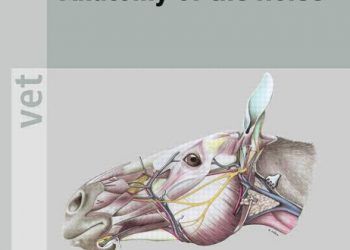 At Anatomisi, 6. Baskı