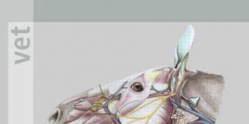 At Anatomisi, 6. Baskı