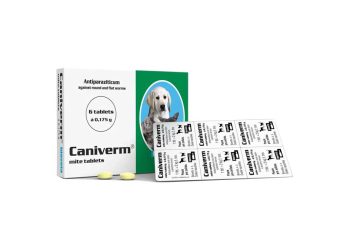 Caniverm 175 mg Oral Tablet