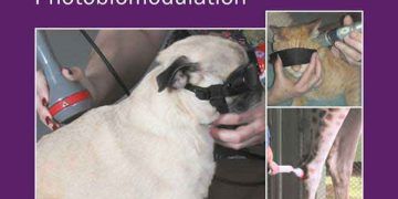 Veteriner Hekimlikte Lazer Terapisi: Fotobiyomodülasyon