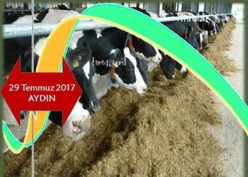 Süt İneklerinde Metabolik Profil Testleri ve Klinik Değerlendirmesi