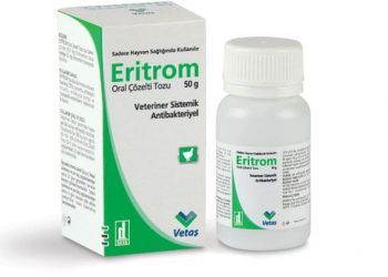 Eritrom
