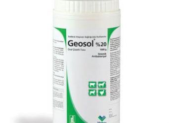 Geosol %20