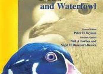 BSAVA Raptors, Güvercinler ve Su Kuşlarının El Kitabı