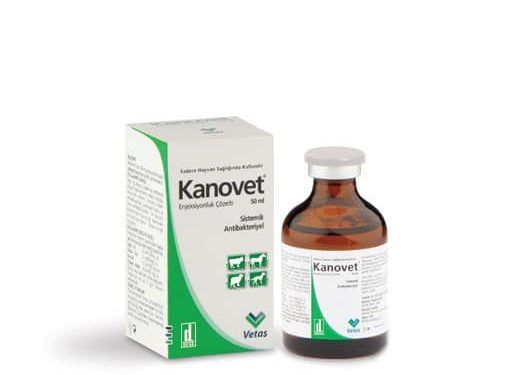 Kanovet