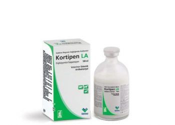 Kortipen LA