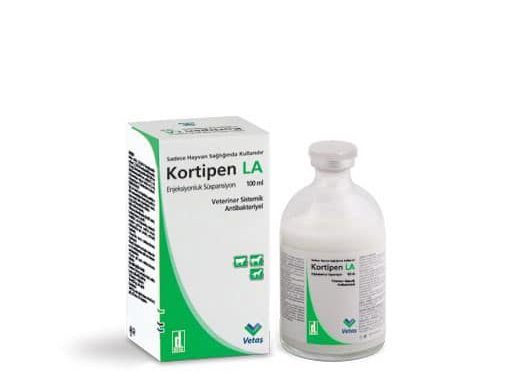 Kortipen LA