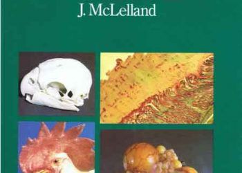 Kuş Anatomi Renkli Atlası