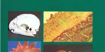 Kuş Anatomi Renkli Atlası