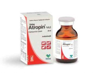 Vetaş Atropin % 0.2