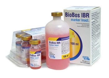 BioBos IBR marker Inact