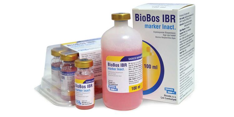 BioBos IBR marker Inact