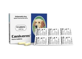 Caniverm 700 mg