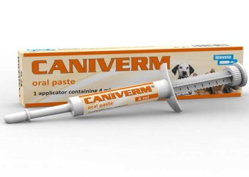 Caniverm Oral Paste