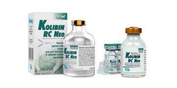 Kolibin RC Neo