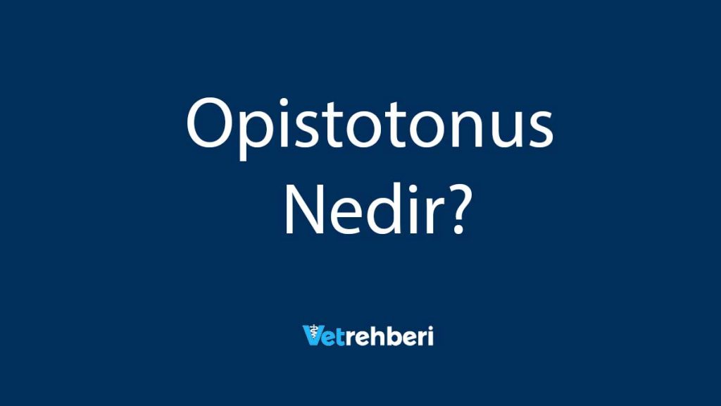 Opistotonus Nedir?