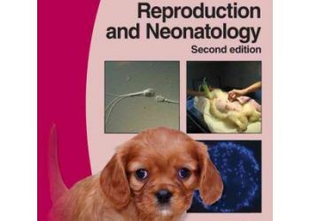 Köpek ve Kedi de Üreme ve Yenidoğanın El Klavuzu