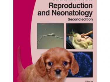 Köpek ve Kedi de Üreme ve Yenidoğanın El Klavuzu
