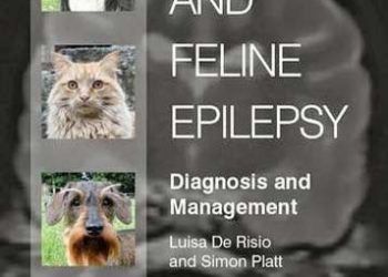 Köpek ve Kedi Epilepsi Tanı ve Yönetimi