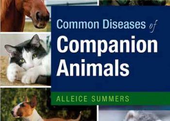 Hayvanlardaki Sık Hastalıklar