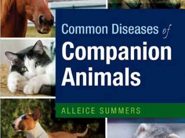 Companion Hayvanların Ortak Hastalıkları