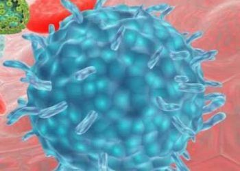 Kedi Enfeksiyöz Peritonitis Patogenezi (FIP)