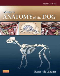Miller 'in Köpek Anatomi Atlası
